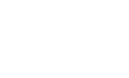 100th-Anniversary-white